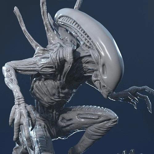 Alien Xenomorph